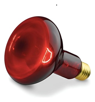 Bombillo Infrarrojo de 250W 110V Terapeutico Incandescente